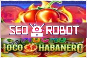 RTP Terbaik Provider Bandar Slot Online Terpercaya